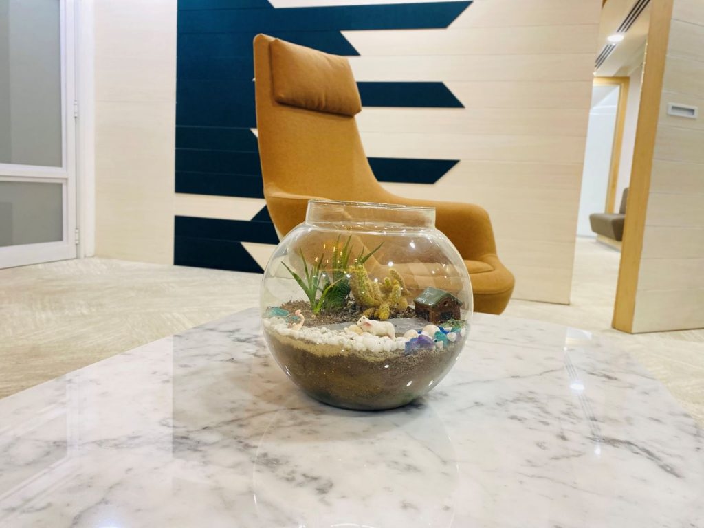 Bonsai and Terrariums: Adding Elegance to Modern Workspaces