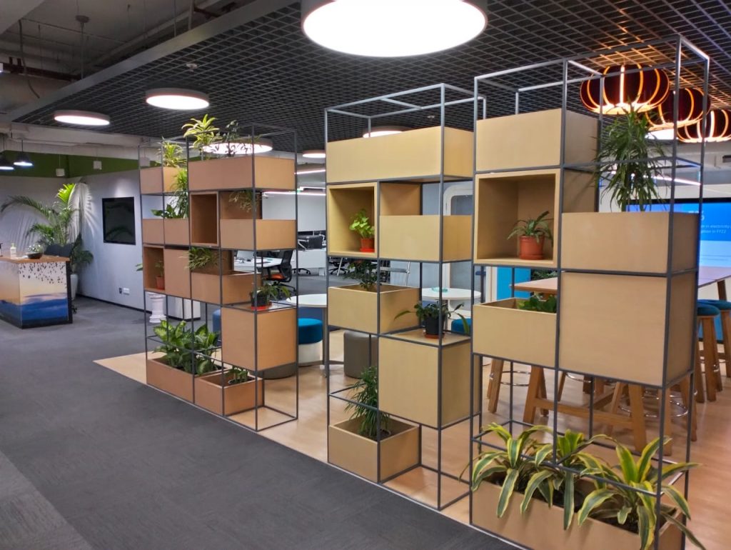 The Benefits of Indoor Plants in Corporate Offices